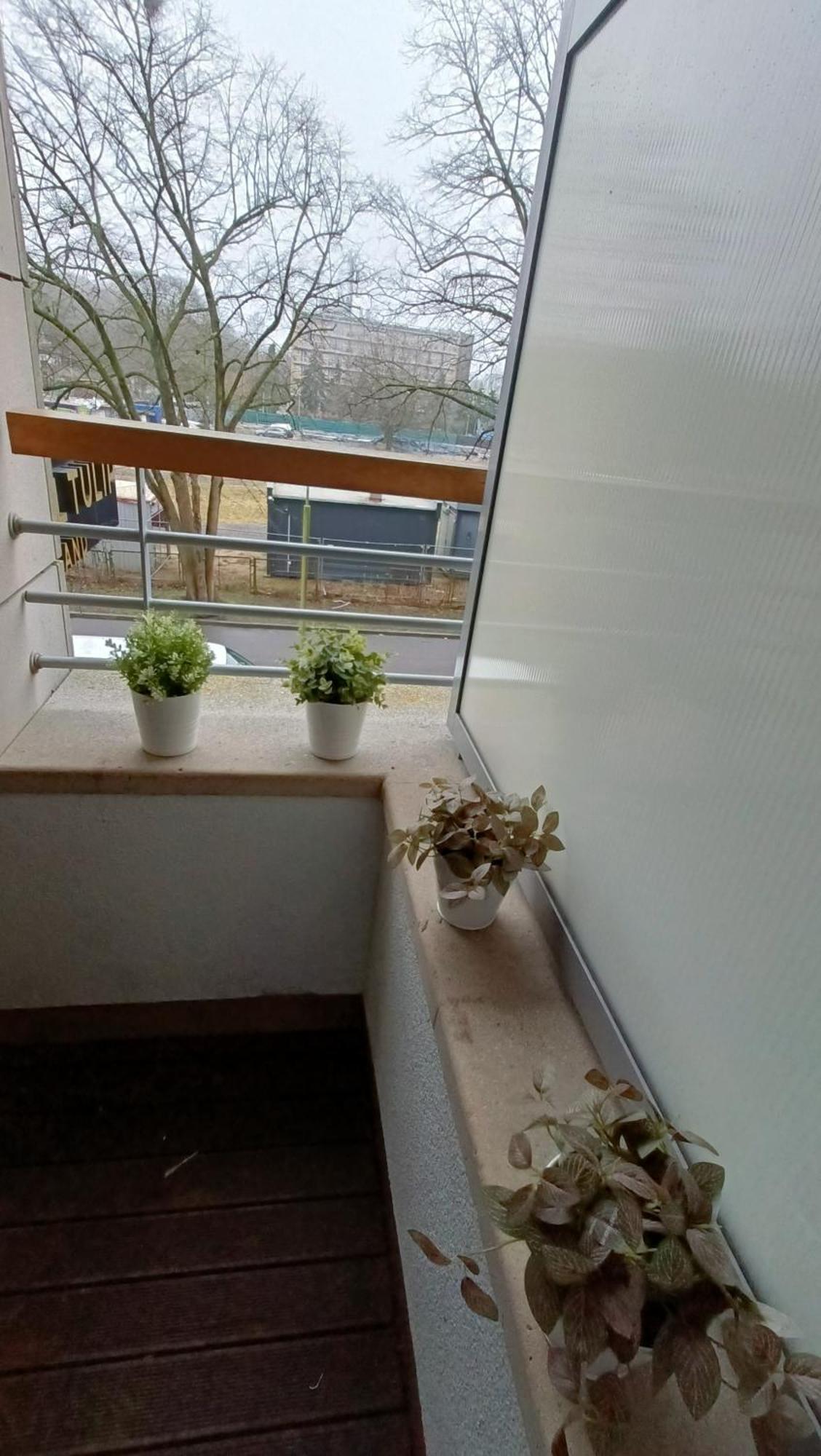 120 W 5 Gwiazdowym Royal Tulip Sand 200 M Od Plazy Dobruk Apartamenty Kołobrzeg Kültér fotó